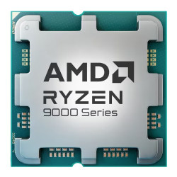 AMD Ryzen 9 9900X processor...