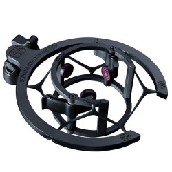 Aston Microphones Swift...