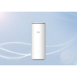 ZTE Z1320 wireless router...