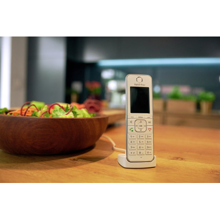 Fon FRITZ! C6 DECT telephone Caller ID White