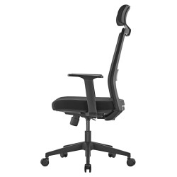 Premium Ergonomic Office...