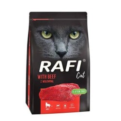 DOLINA NOTECI Rafi Cat with...