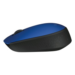 MOUSE USB OPTICAL WRL...