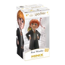 MINIX HARRY POTTER - RON...