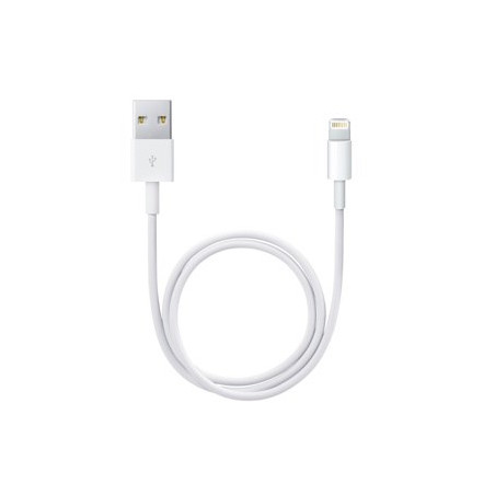 Apple Lightning to USB Cable (0.5 m)