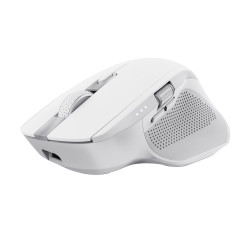 MOUSE USB OPTICAL WRL...