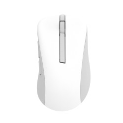 Asus Wireless Mouse | MD102...