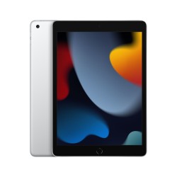 Apple iPad 10.2-inch Wi-Fi...