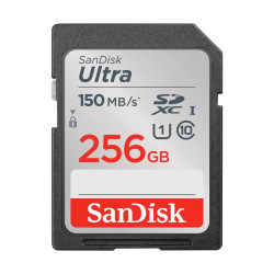 MEMORY SDXC 256GB...
