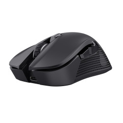 MOUSE USB OPTICAL WRL...
