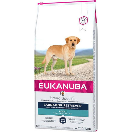 EUKANUBA Breed Specific Labrador Retriever Adult - dry dog food - 12kg