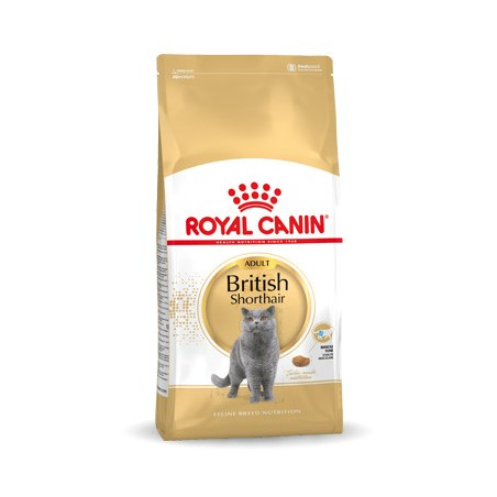 Royal Canin British Shorthair Adult cats dry food 4 kg