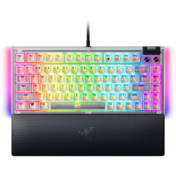 Razer Hot-swappable...