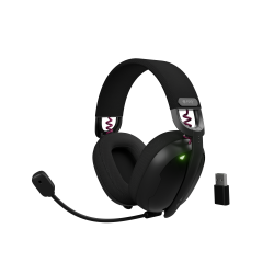 Fury | Gaming Headset |...