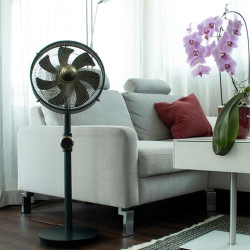 FAN STANDING...