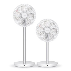 FAN STANDING...