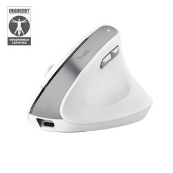 MOUSE USB OPTICAL WRL BAYO...