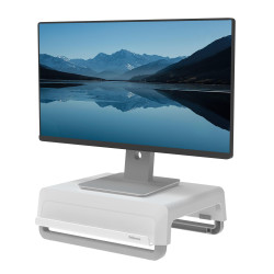MONITOR ACC RISER...