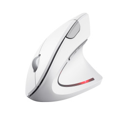 MOUSE USB OPTICAL WRL...