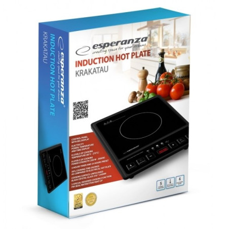 Esperanza EKH011 Black induction cooker