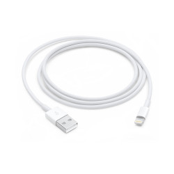 Apple Lightning to USB...