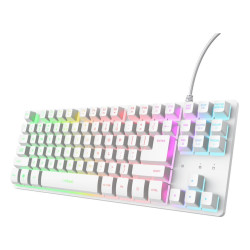 KEYBOARD USB GXT 833W...