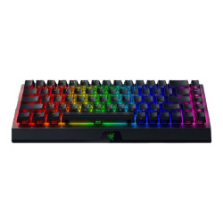 RAZER BlackWidow V3 Mini...
