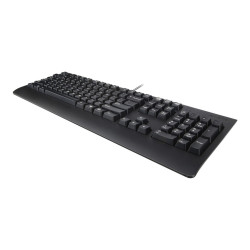 LENOVO Preferred Pro II USB...