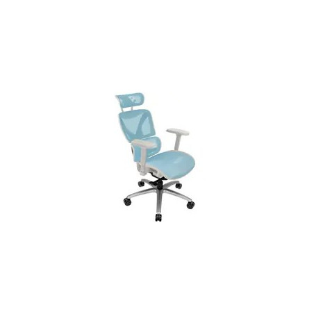 ThunderX3 XTC Ergonomic Office Chair - white/blue