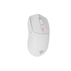 GENESIS Zircon 500 mouse...