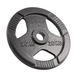 Olympic cast iron plate...