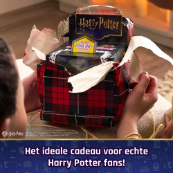 Wizarding World Harry...
