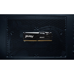 Kingston Technology FURY...