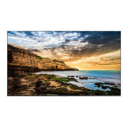 DISPLAY LCD 55"...