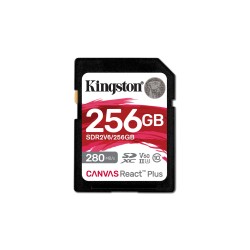 Kingston Technology 256GB...