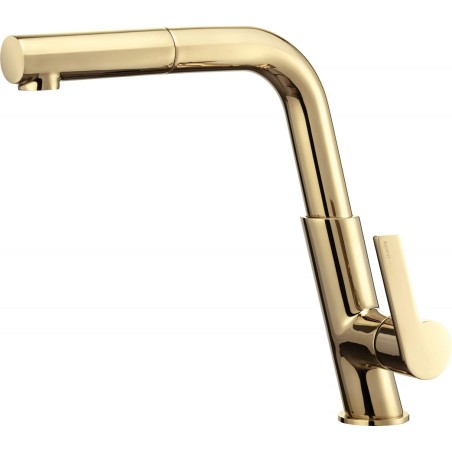 Kitchen faucet with pull-out spout