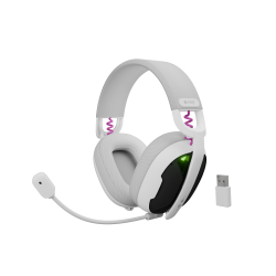 Fury | Gaming Headset |...