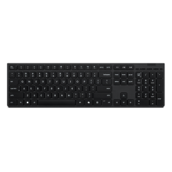 Lenovo Professional...