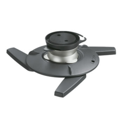 Vogels | Maximum weight...