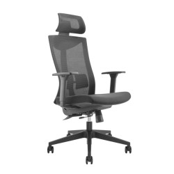 Premium ergonomic office...