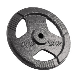 Cast iron weight 20kg, bore...