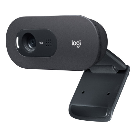 Logitech C505e