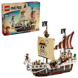LEGO ONE PIECE 75639 The...