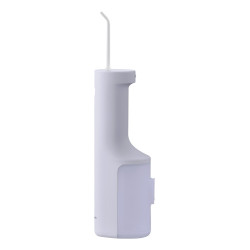 Panasonic irrigator...