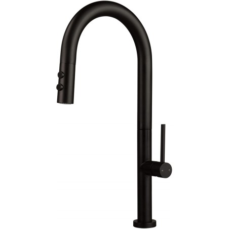 Kitchen faucet with pull-out spout - 2 types of spray