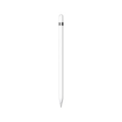 Apple Pencil (1st...