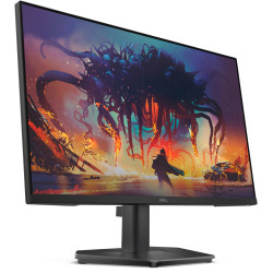 DELL SE2425HG LED display...