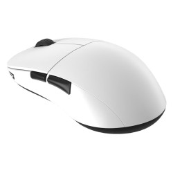 Endgame Gear XM2we mouse...