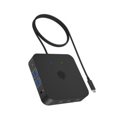 ICY BOX IB-DK4090-C Docking...