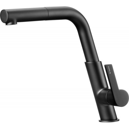 Kitchen faucet with pull-out spout